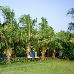 unity village resort